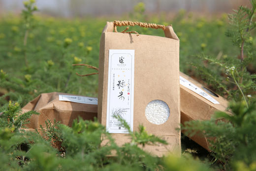 【2025新粮】糯米 500g 商品图0