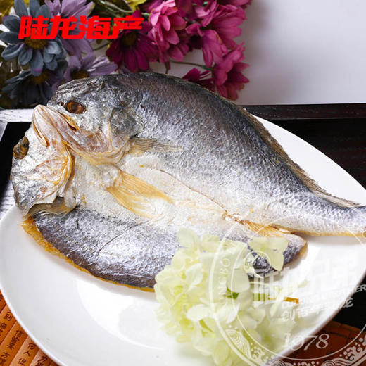 5179陆龙兄弟450g 5A脱脂大黄鱼 商品图1