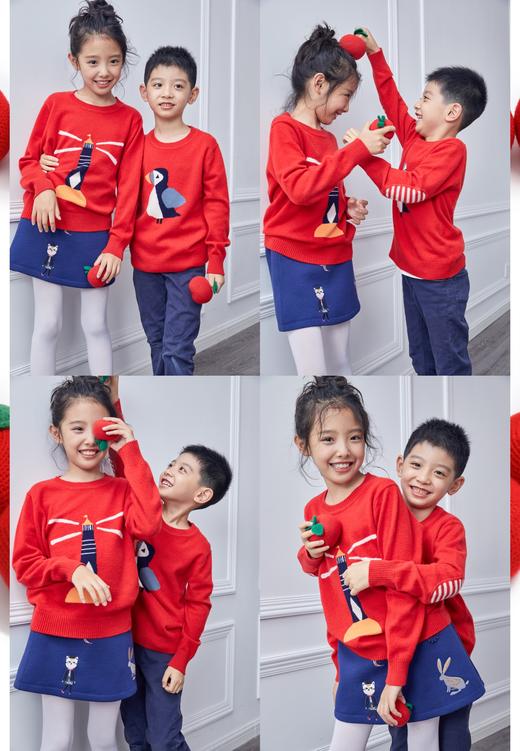 100%山羊绒手钩苹果 SJF18P819A SJF18P819B 商品图1