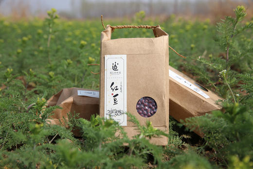 【2025新粮】红豆 500g 商品图0
