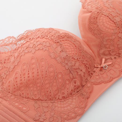 雅黛丽内衣性感蕾丝薄定型杯无钢圈文胸yw8712