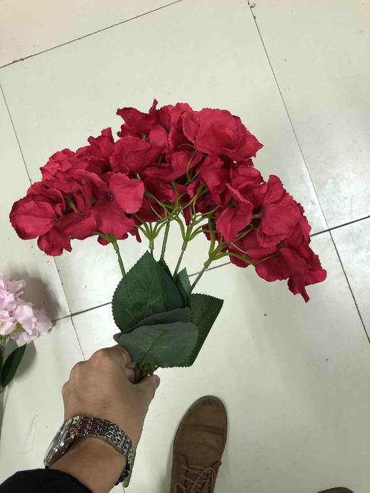 5头绣球把束【运费自理】 商品图13