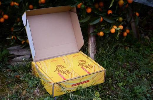 特级 融安滑皮金桔 【核心产区 净重3斤】 商品图2