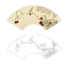 于非闇工笔花鸟白描底稿《朱英飞禽》扇面小品-多种白描尺寸可选-YF65