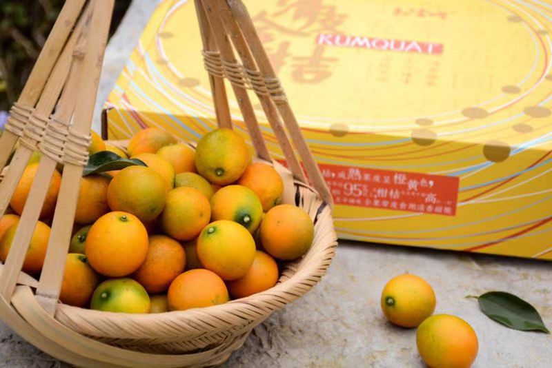 特级 融安滑皮金桔 【核心产区 净重3斤】