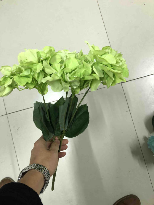 5头绣球把束【运费自理】 商品图9