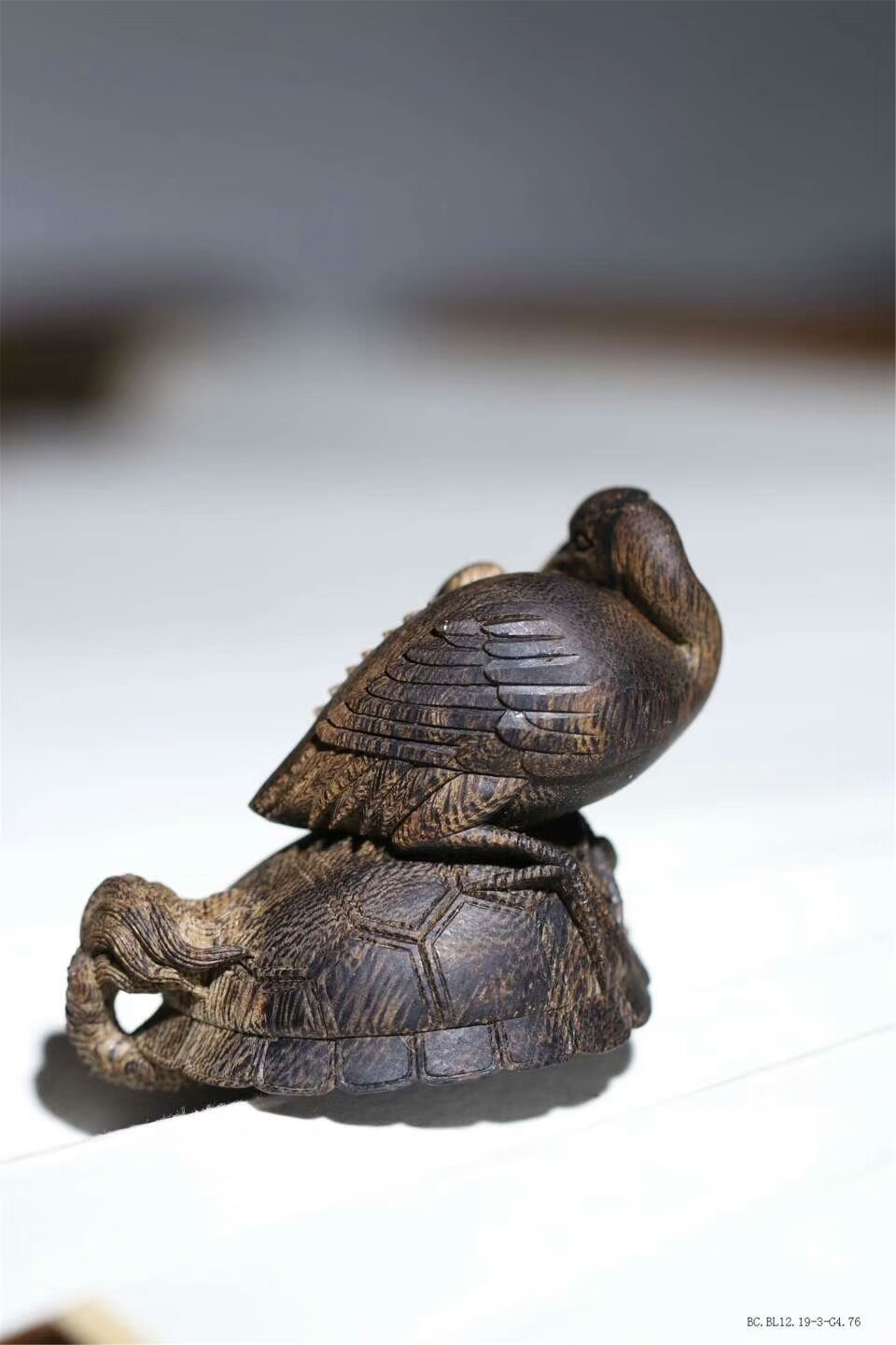 bcbl12193g476东马沉水龟鹤齐龄1829g