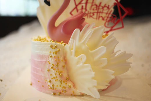 女士款 粉色展翅火烈鸟 商品图1