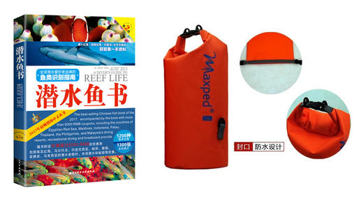 【图书】鱼类识别指南---潜水鱼书优惠套装 商品图5