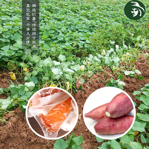 临安特产小香薯（干）自然甜味，有嚼劲的零食  源自有机蔬菜小镇基地 商品图0