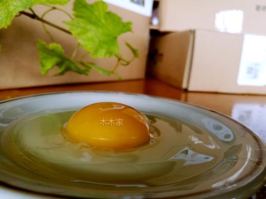 生态牧草蛋 商品图2