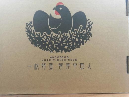 油鸡蛋 商品图3