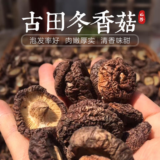 【顺丰】古田冬香菇 精选新鲜香菇干货 古田农家土特产 250g、500g包邮 商品图0