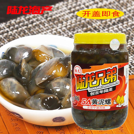 6009陆龙兄弟760g 5A黄泥螺 商品图0