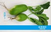 青萝卜（6斤装） 商品缩略图0