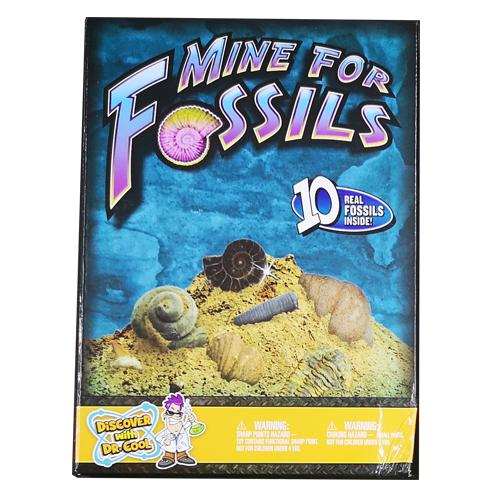 【开团】挖掘系列套装，亲手挖恐龙化石、宝石、昆虫标本、鲨鱼牙齿！足不出户，体验真实考古！ 商品图4