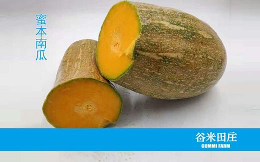 蜜本南瓜 商品图0