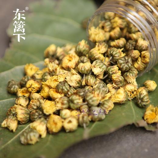 东篱下东篱菊40g 商品图6
