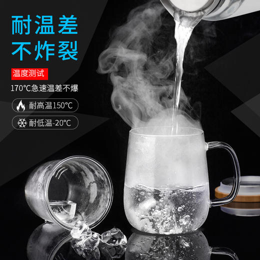 尚明玻璃茶杯 可过滤 办公室花茶杯 380ml 商品图1