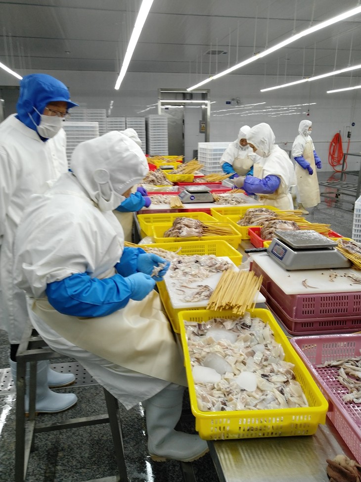 鱿鱼耳约1斤装 | 无添加不泡水 上岸新鲜分割 渤海湾捕捞 / 渔场冻品