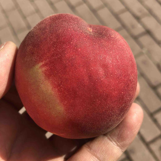 【空运✈️水蜜桃🍑】冬天最幸福的就是吃到脆嫩的水蜜桃，一口咬下去，甘甜的滋味占领了整个味蕾！ 商品图10