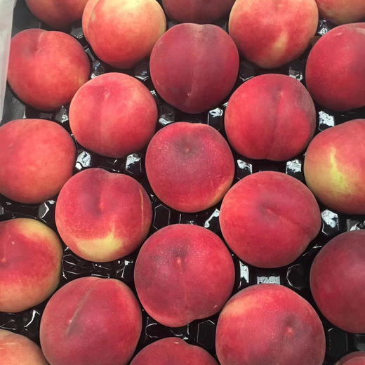 【空运✈️水蜜桃🍑】冬天最幸福的就是吃到脆嫩的水蜜桃，一口咬下去，甘甜的滋味占领了整个味蕾！ 商品图3