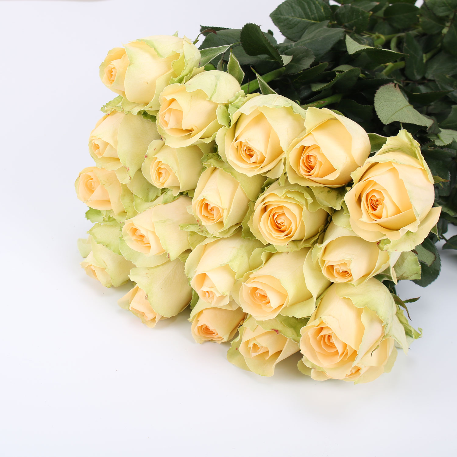 玫瑰·蜜桃雪山（香槟）