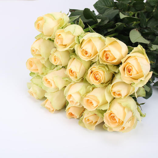 玫瑰·蜜桃雪山（香槟） 商品图0