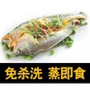 黄鱼鳖条 一条装350g外地泡沫箱 商品缩略图3
