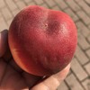 【空运✈️水蜜桃🍑】冬天最幸福的就是吃到脆嫩的水蜜桃，一口咬下去，甘甜的滋味占领了整个味蕾！ 商品缩略图8