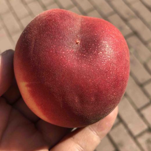 【空运✈️水蜜桃🍑】冬天最幸福的就是吃到脆嫩的水蜜桃，一口咬下去，甘甜的滋味占领了整个味蕾！ 商品图8