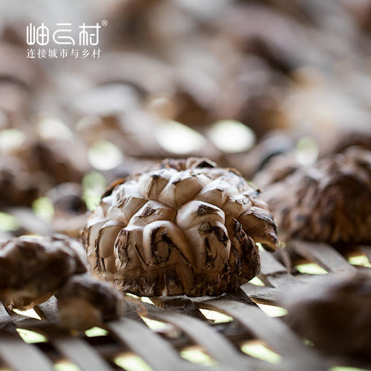 【村民家后山直采，拍一单少一单】岫云村丨椴木花菇 250g 商品图2