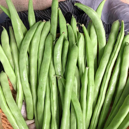 四季豆 约300g