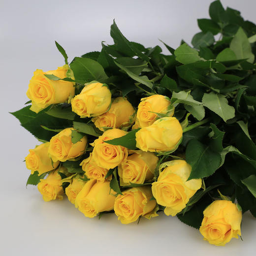 玫瑰·金枝玉叶 商品图0