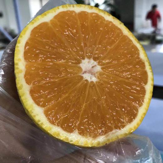 蜂糖柚 商品图0