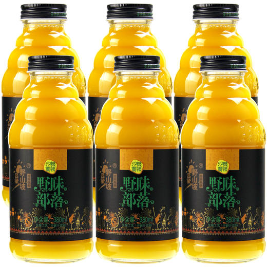 吕梁野山坡饮料系列野味部落沙棘汁饮料380ml6瓶