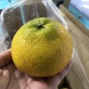 蜂糖柚 商品缩略图1