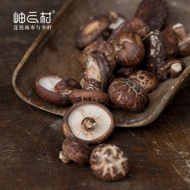 【村民家后山直采，拍一单少一单】岫云村丨椴木花菇 250g