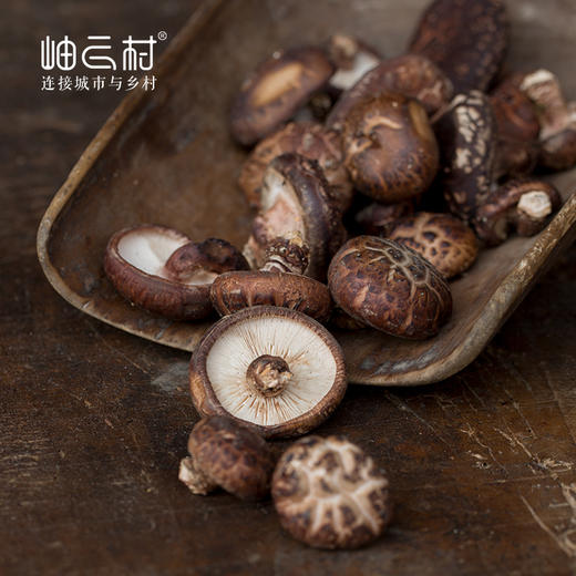 【村民家后山直采，拍一单少一单】岫云村丨椴木花菇 250g 商品图0