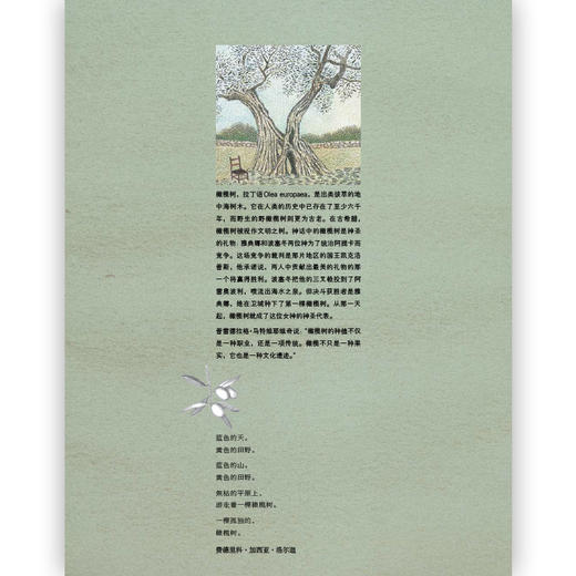 树（2012年意大利安徒生奖年度图书、科普书籍 绘画艺术与诗文创作的完美结合！） 商品图2
