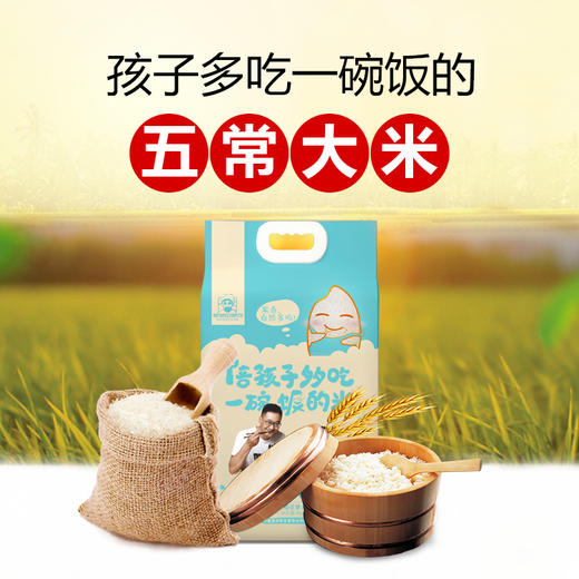 五常稻花香大米 商品图0