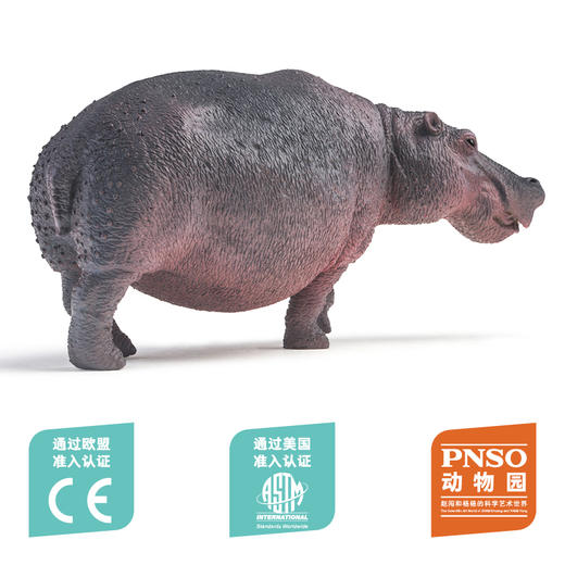 PNSO非洲象河马北极熊白犀牛耳廓狐动物园成长陪伴模型 商品图10