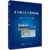 水下油气生产系统基础 商品缩略图0