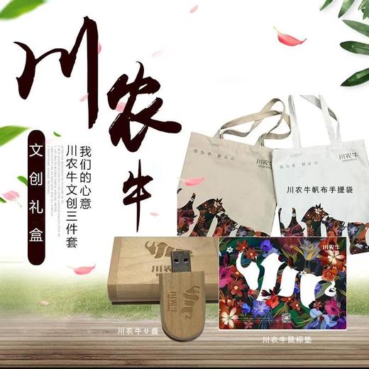 川农牛文创套装 定制u盘 鼠标垫 环保布袋