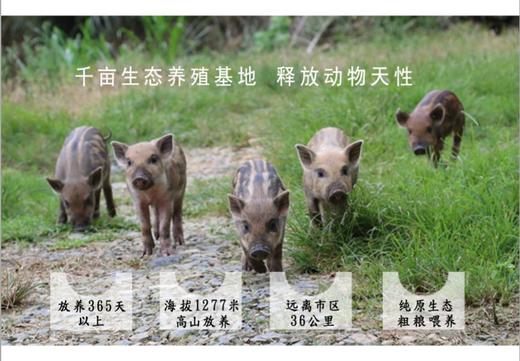 八乡农嫂香猪全猪宴 商品图2