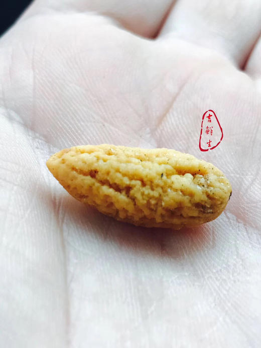 2025年新货·枫桥香榧 十年树木，方成一果，浓郁芬芳，香气扑鼻 商品图1