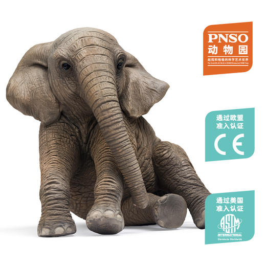 PNSO非洲象河马北极熊白犀牛耳廓狐动物园成长陪伴模型 商品图8