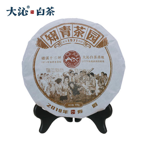 大沁白茶2018年十三坪知青寿眉饼300g 商品图0