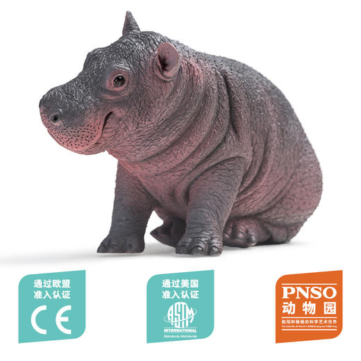 PNSO非洲象河马北极熊白犀牛耳廓狐动物园成长陪伴模型 商品图12