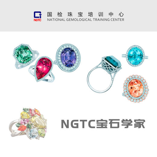 NGTC宝石学家课程 商品图0